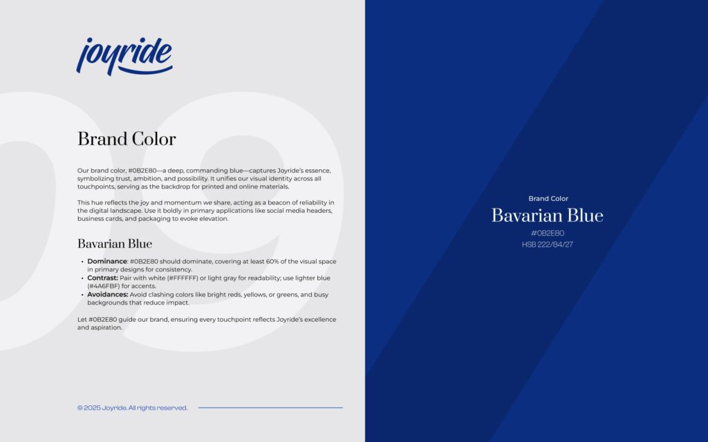 09 Brand Color